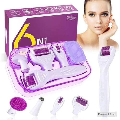 Drs 6 In 1 Derma Roller Micro Needles Kit Microneedle Rollers Machine Face Eye Skin Care Body Treatment Hair Growth Anti Aging 6in1 Stamp